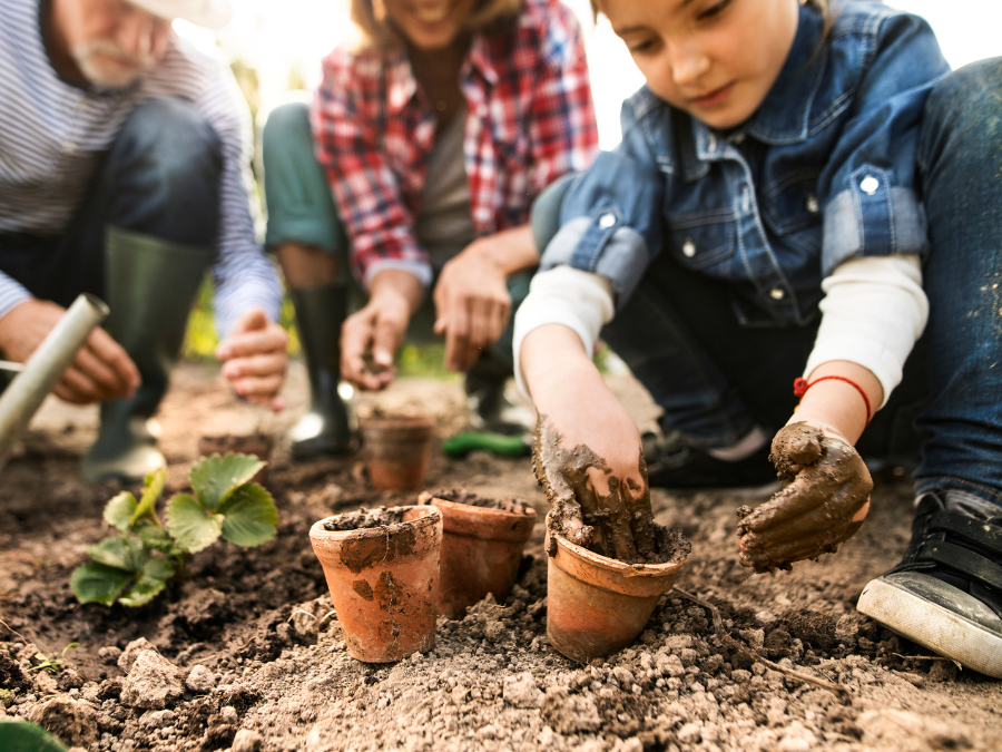 Child Safe Gardening: Avoiding Poisonous Plants in Your Yard