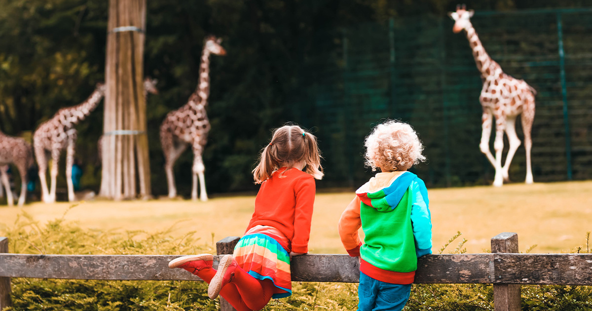 children at the zoo in front of a giraffe exhibit