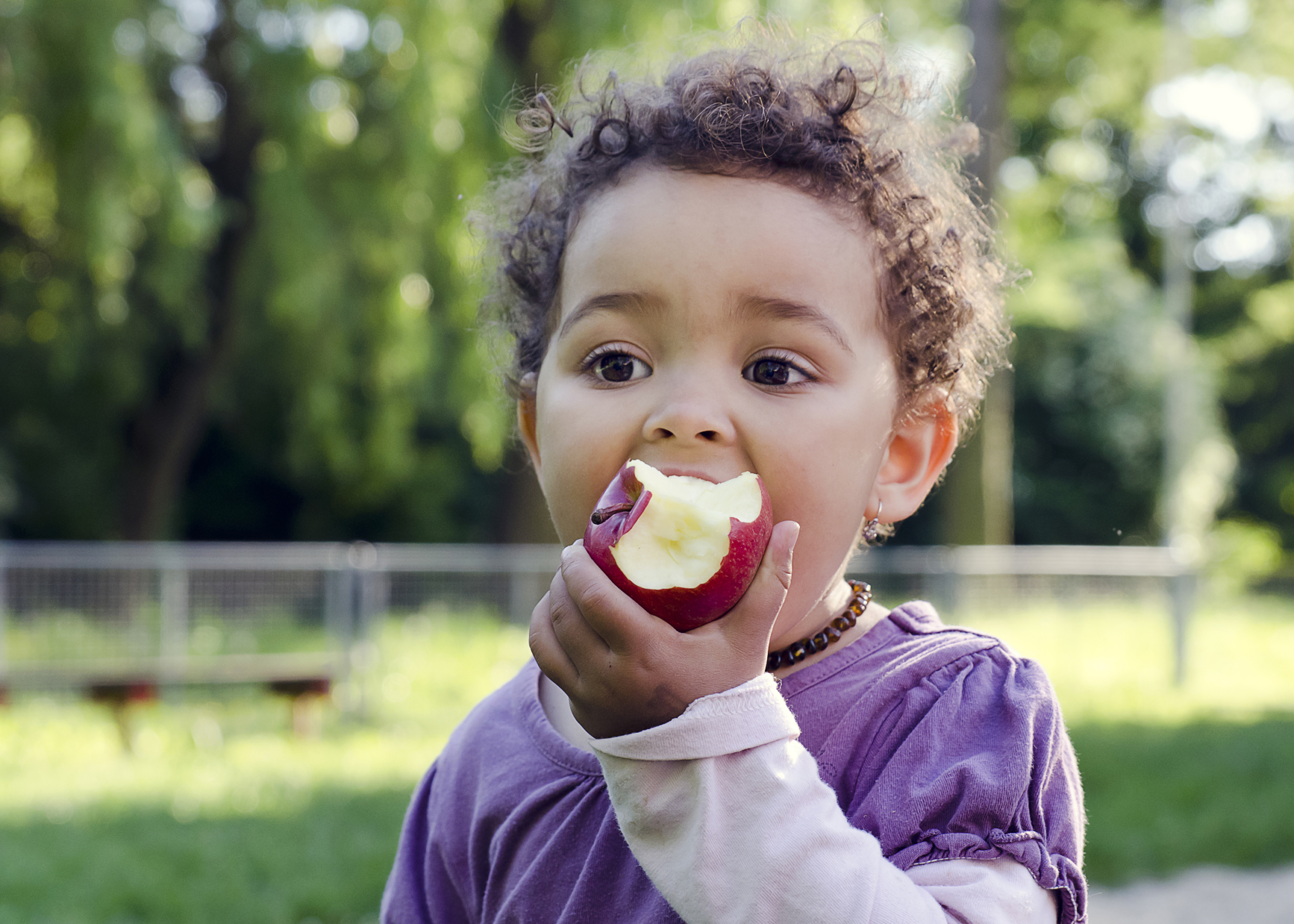 Child child eating an apple in a park in nature during Global Child Nutrition Month